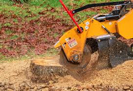 Best Tree and Shrub Care  in Cheree, OK