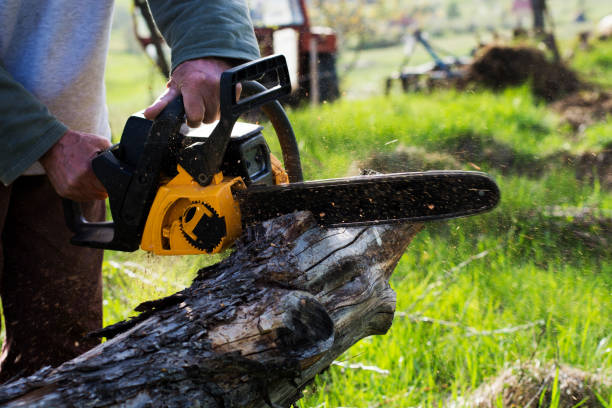 How Our Tree Care Process Works  in  Cherokee, OK